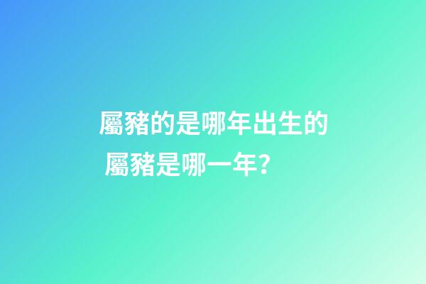 屬豬的是哪年出生的 屬豬是哪一年？-第1張-觀點-玄機派